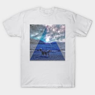 Midnight Dream Dog T-Shirt